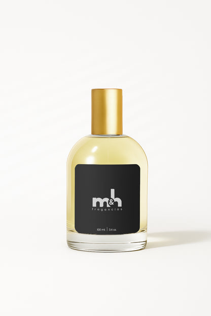 BURBERRY H - Hero (Inspiración)